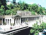     (Karlovy Vary)